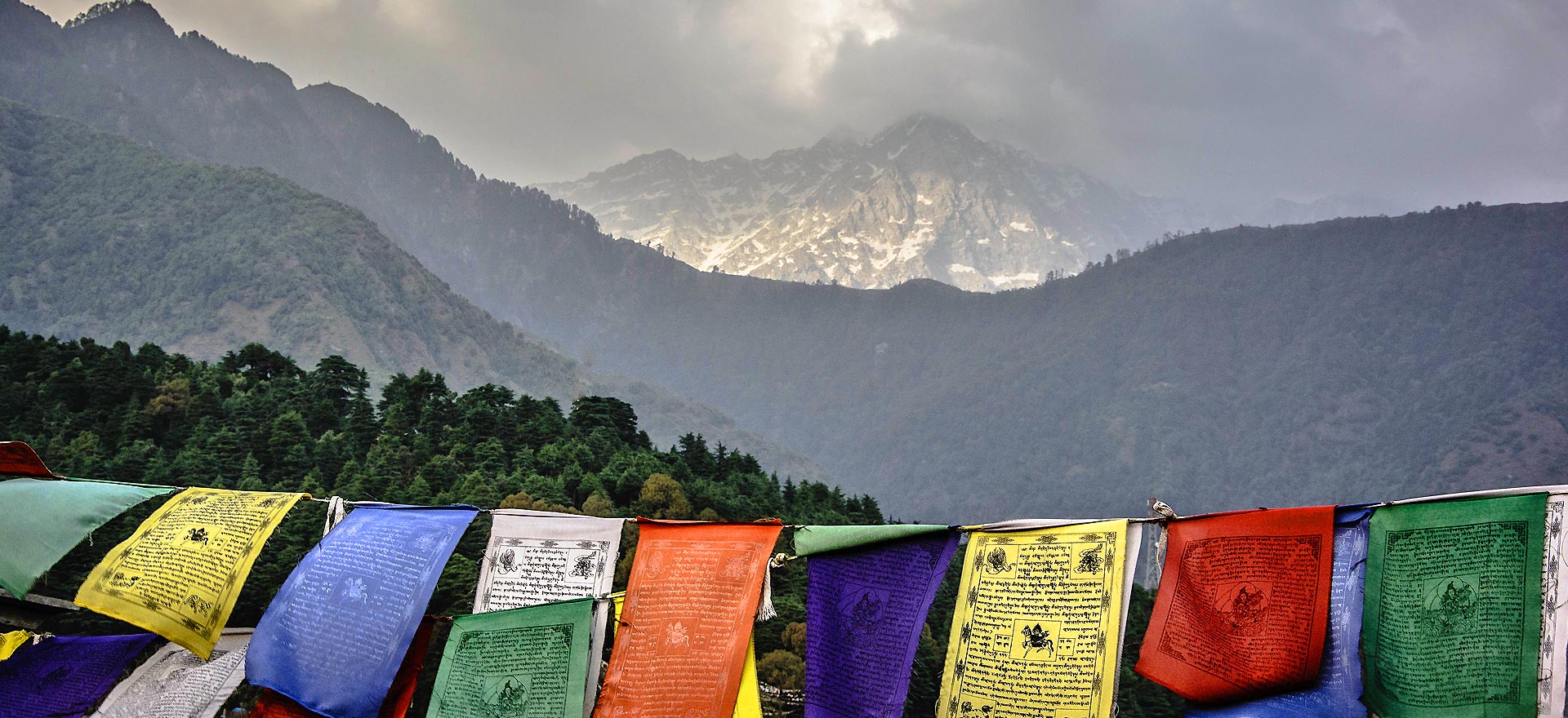 trekking and camping in mcleodganj
